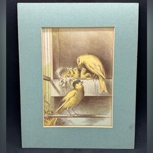 Antique WJ Webb Matted Lithograph of Caged Canaries Feeding Their Young